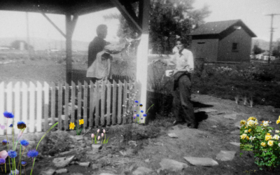 Niwot Home & Garden Club