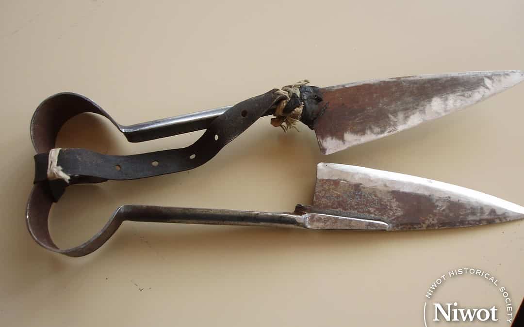 Manual Shears