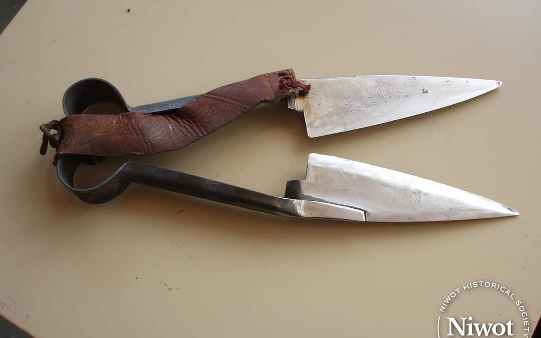 Manual Sheep Shears