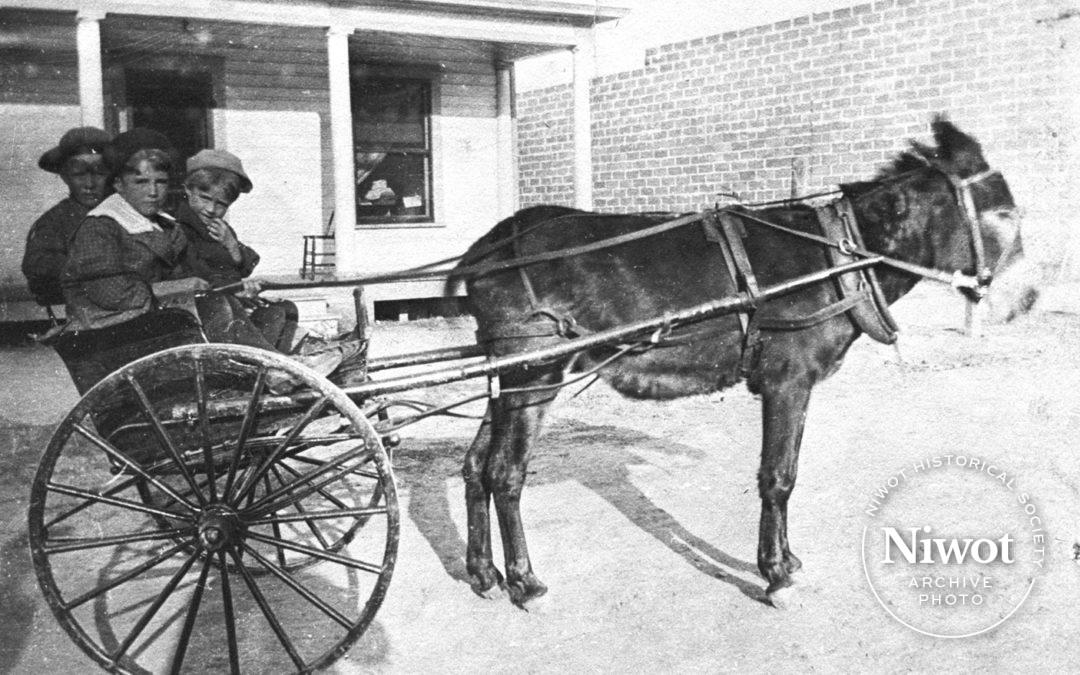 Hotel Livingston and Donkey Cart