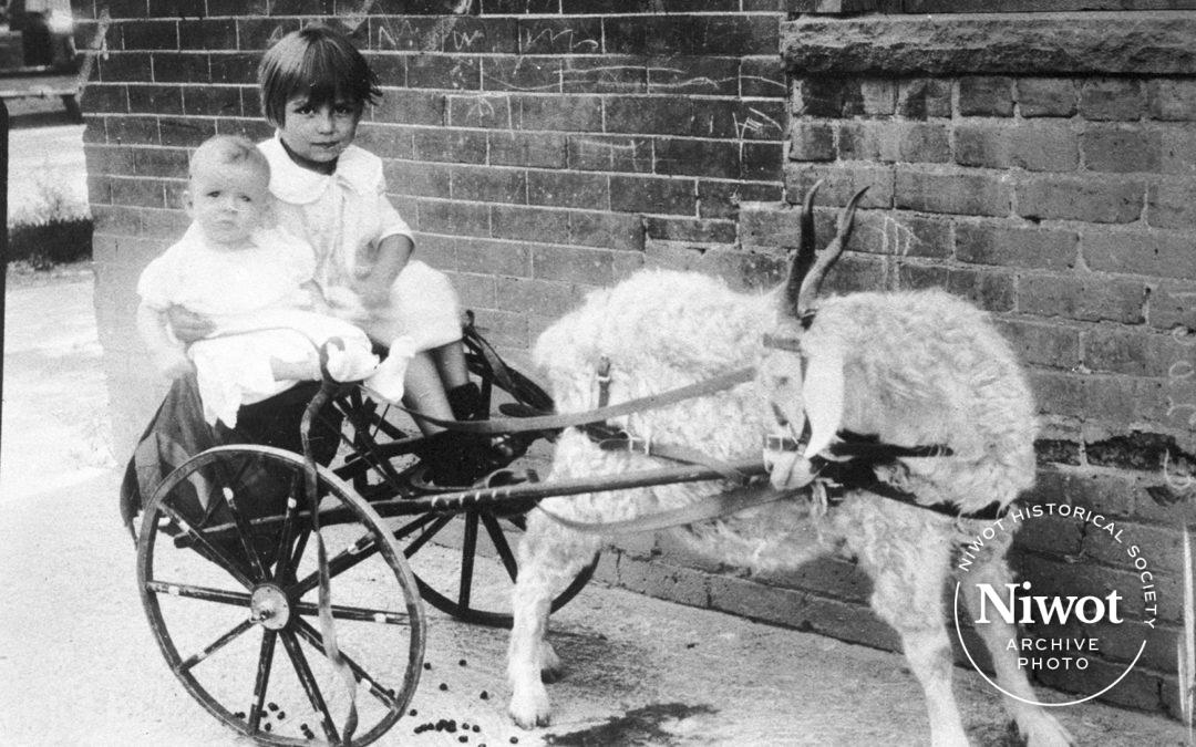Children in Goat Cart