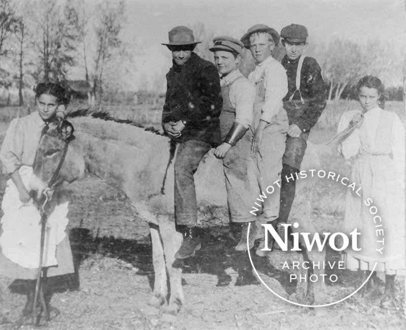 Children with Donkey