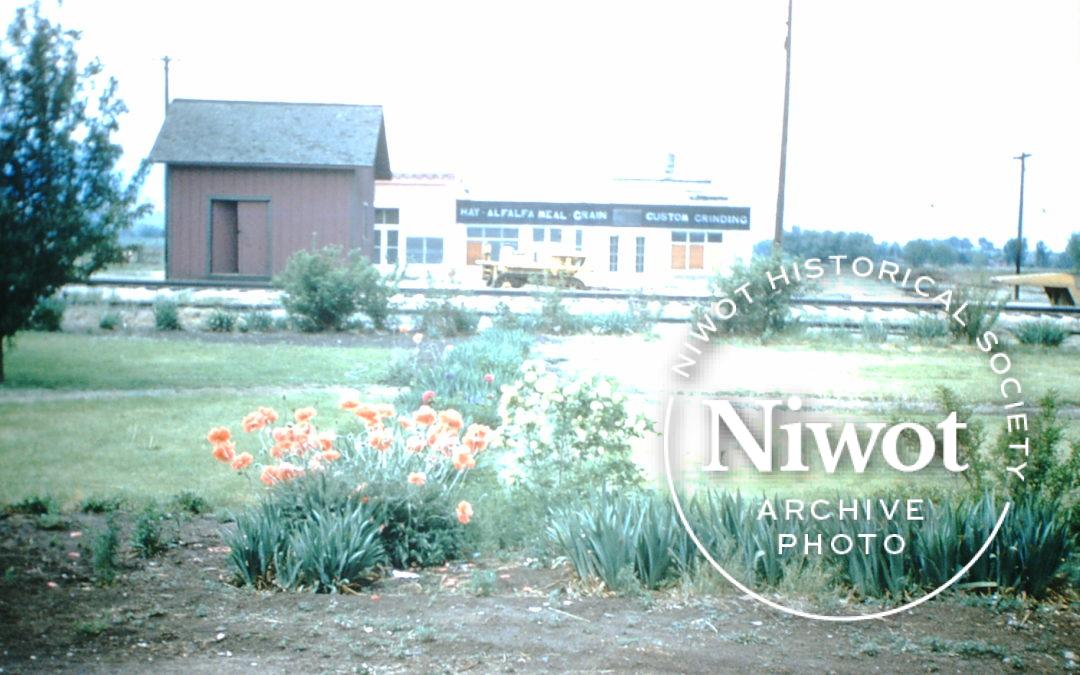 Niwot Community Garden