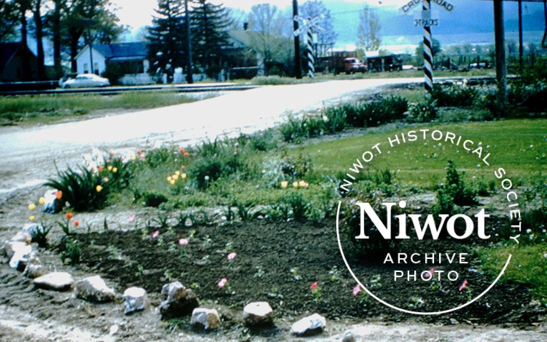 Niwot Community Garden