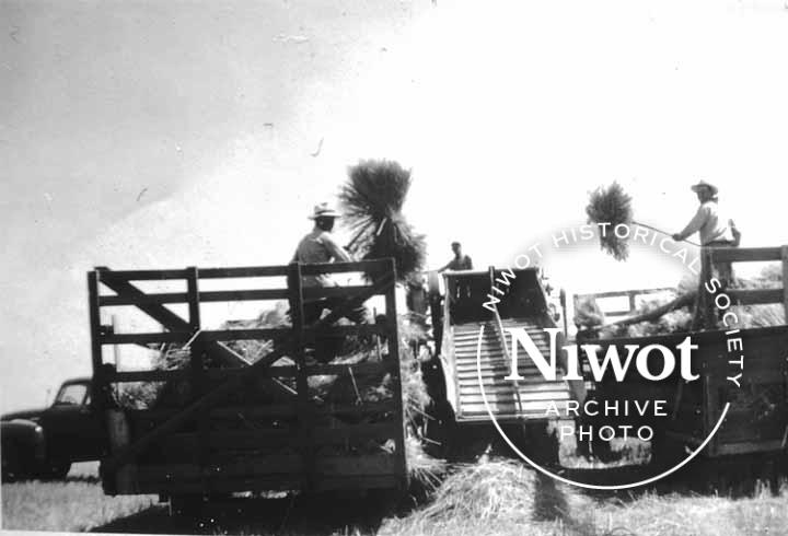 Ralph Morton Threshing Crew – Record Harvest